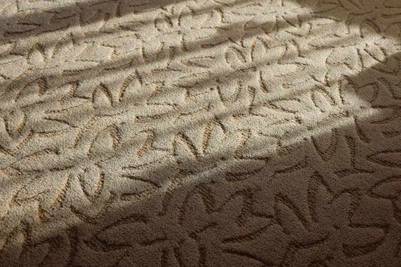 Close-up of a freshly cleaned patterned carpet free of stains